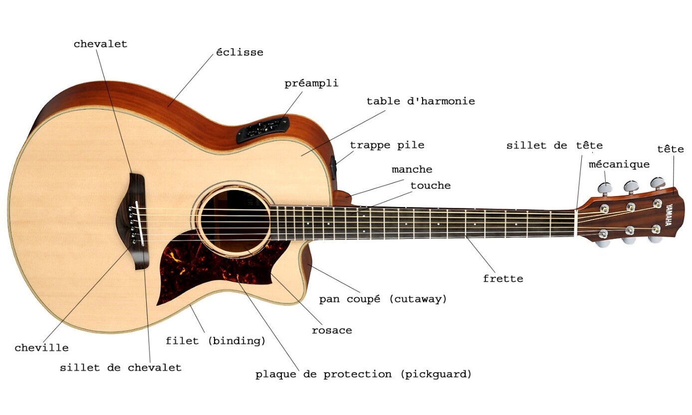 Schéma légendé d'une guitare folk électro-acoustique