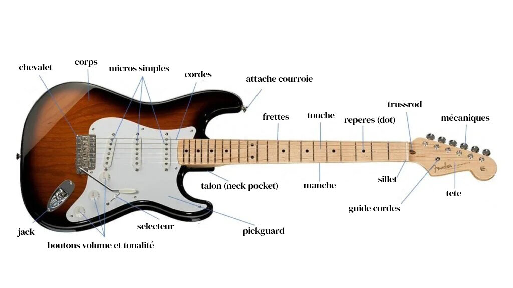 Schéma légendé d'une guitare électrique Stratoïde (Fender Stratocaster)
